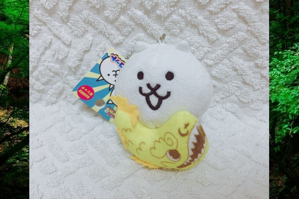 カネコさん ぼろっち先生