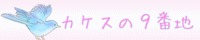 カケスの9番地