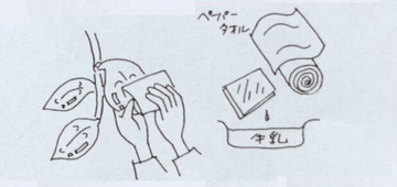 小説と古事記のサイト：ふわふわ