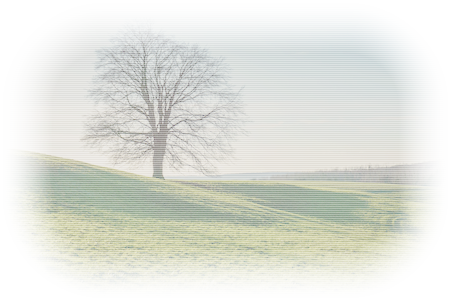 小さな世界 | 現代ファンタジー小説